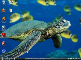 serveur 1.2.5 avec hamachi