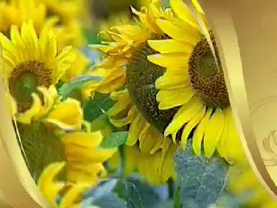 DÖRT MEZHEBE GÖRE HZ. İSA (A.S.)'IN DÖNÜŞÜ VE HZ. MEHDİ'NİN GELİŞİ  HAKTIR