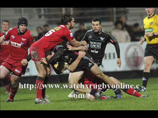 Edinburgh vs Aironi Live Match Streaming