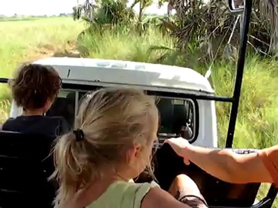 Embourbé en plein parc de Quisama!