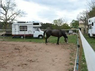 12.04.2012 Laure et Titan 068