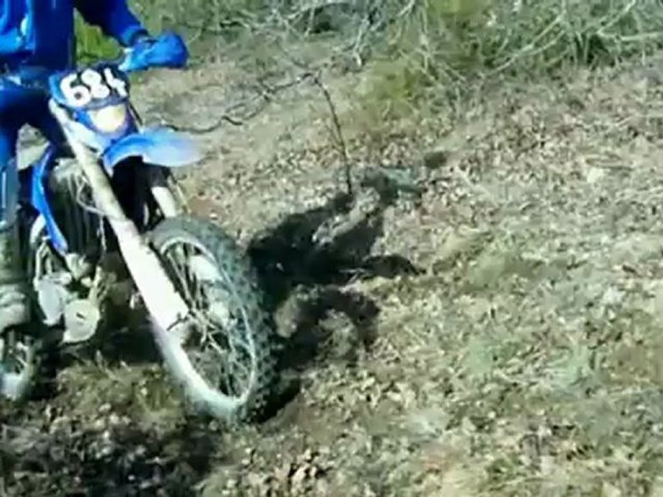 Paella 13