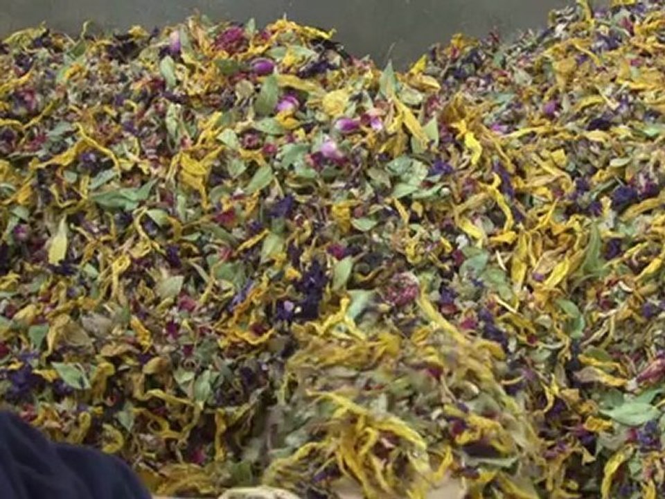 Ancient Italian perfumer celebrates 400-year anniversary