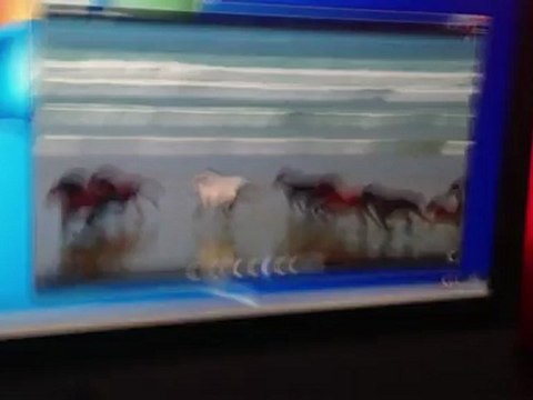 OS LION couplé WINDOWS 7 sur iMac avec PARALLELS