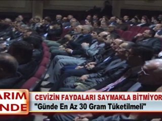 CEVİZİN FAYDALARI SAYMAKLA BİTMİYOR 13 04 2012