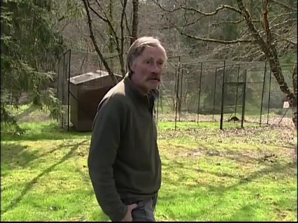 Extrait Parc Ornithologique