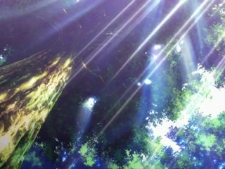 いつか天魔の黒ウサギ(8)