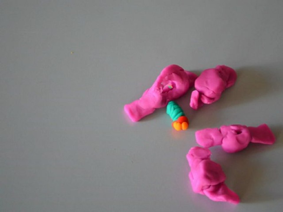 La chenille qui faisait des trous