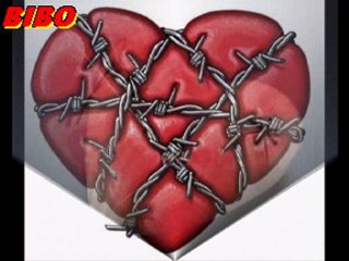 AMR diab Aref Habiby by BIBO