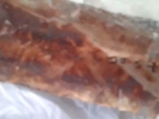 فري برس ريف دمشق هدية روسيا للمدينين في سوريا   شظايا قذائف القصف على كفير الزيت Damascus