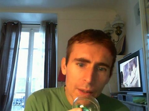 Wiwi égratigne allo Georgina de Michel Polnareff