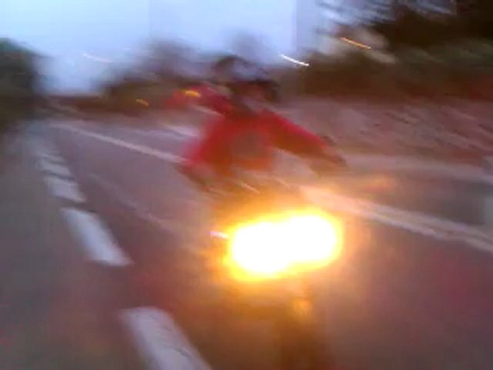 kit 80 polini évo préparé