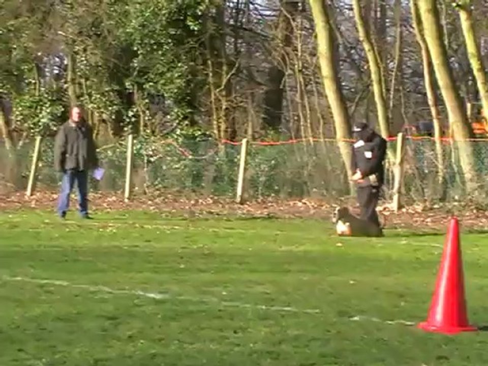 Demon: garde au ferme Ring 1