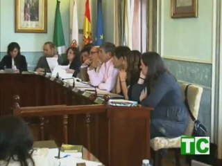 20111107 Pleno de Noviembre3