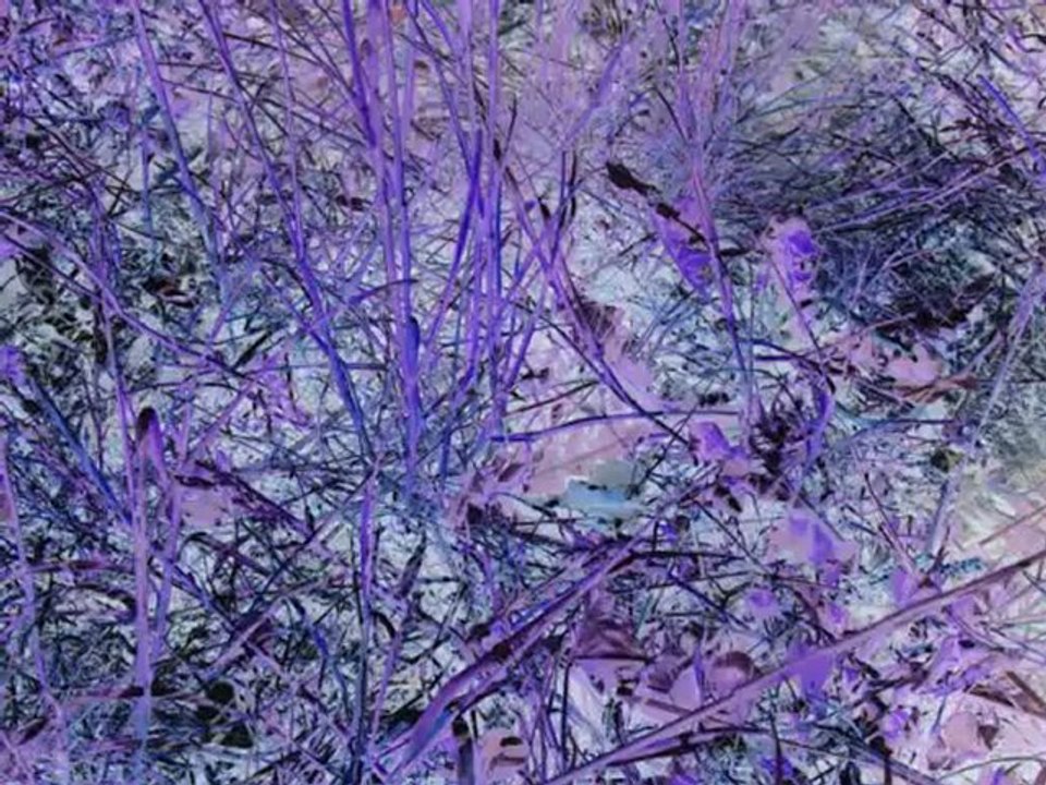 Lignes de fuite II