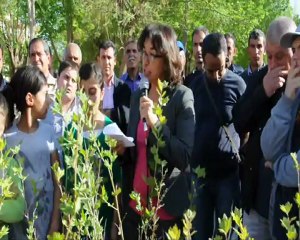 ağaçlandırma çalışması final