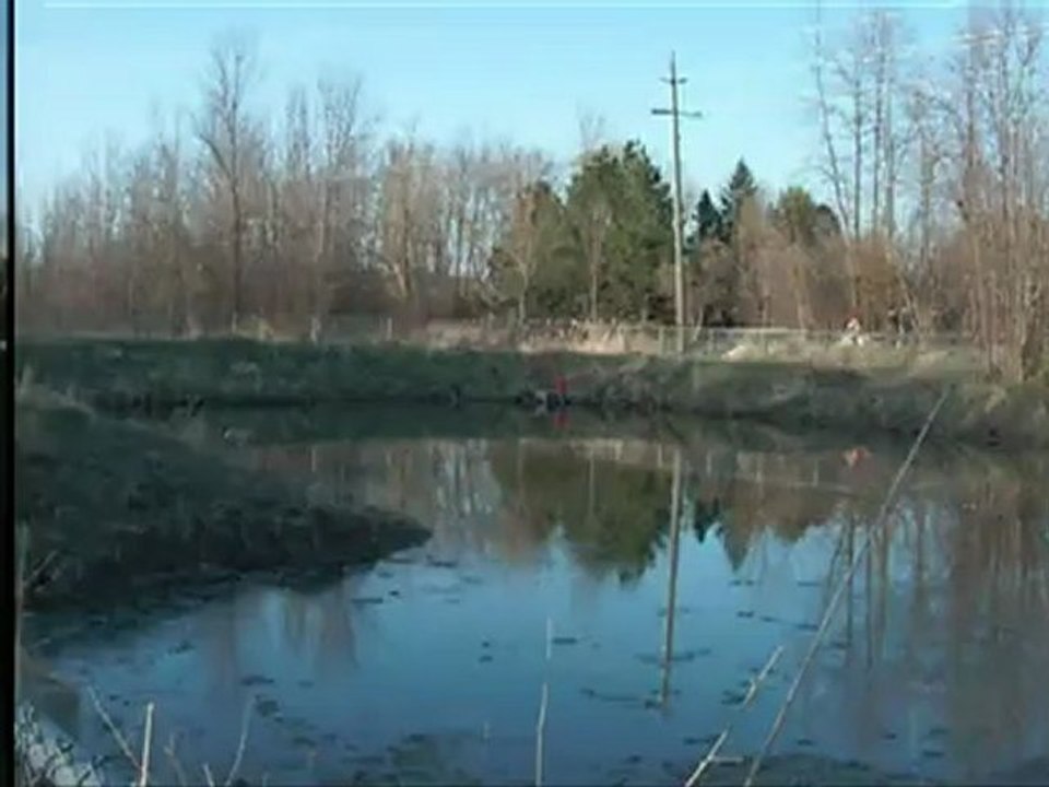 Canada clip