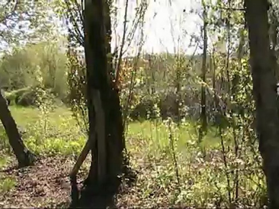 LES PROMENADES DE MICHOU W-D. D. :  Le Lac de Laroin