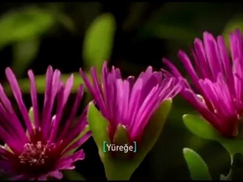 Diyanet İşleri Başkanlığı - 2012 Kutlu Doğum Sinevizyonu - DuaDenizi.Com