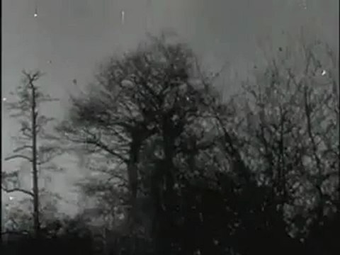 Les aventures de Robin des Bois (Série de 1955 - 1960)