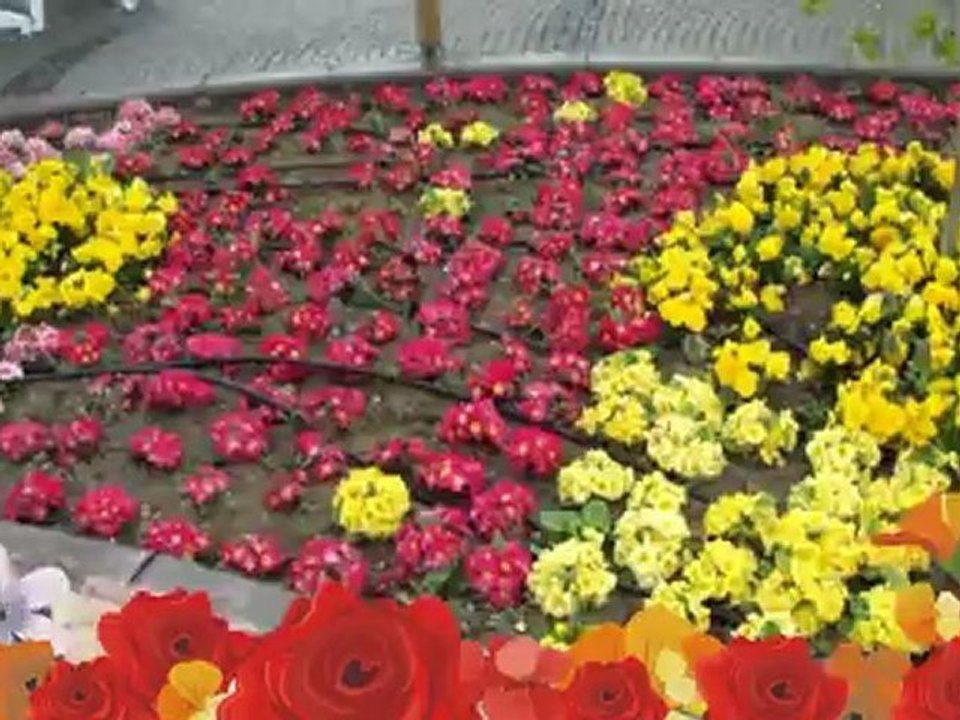 Flora Park  & Park Ve Kent Mobilyaları