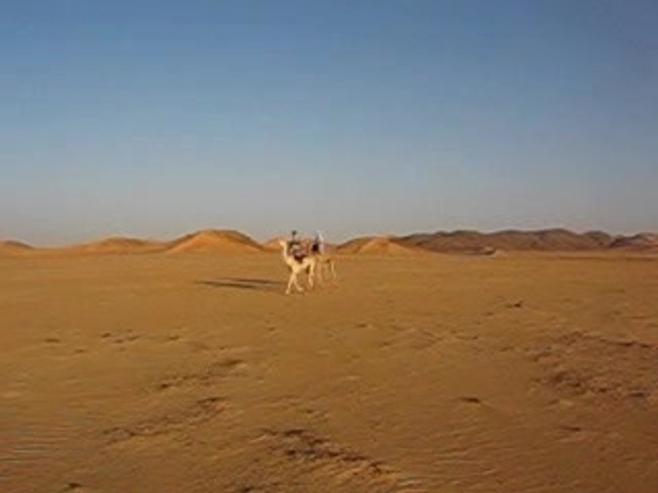 Zaliotouaregs