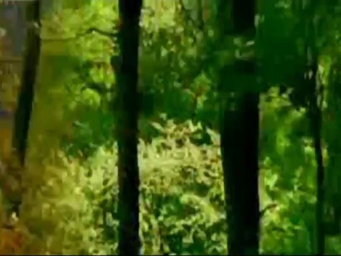 ,✿,Il a toujours du soleil au dessus des nuages,✿,