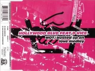 HOLLYWOOD BLVD feat. D-VICE - Wot-Busted up on love medley (funky extended)