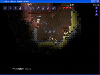 delire multijoueurs terraria 02