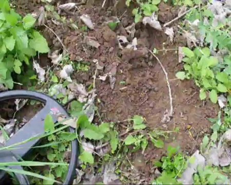 sortie déus du 14042012