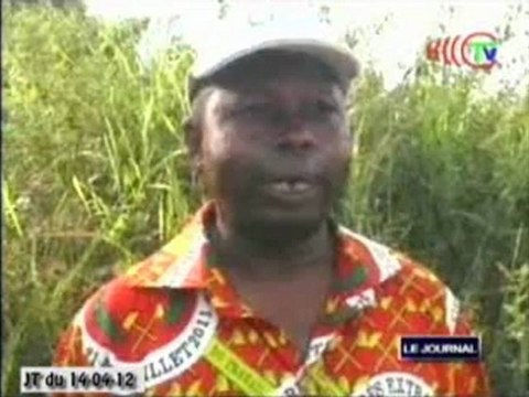 Contonnage villageois dans la sous-préfecture de Kayes