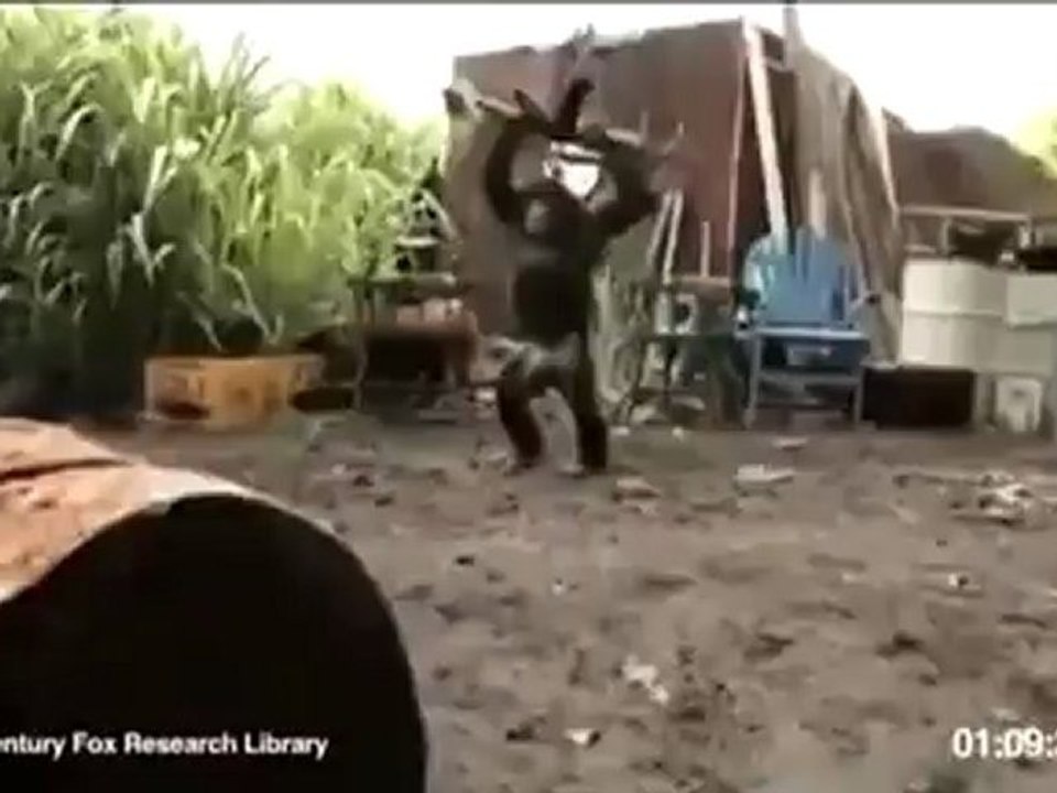 videoplayback_converted