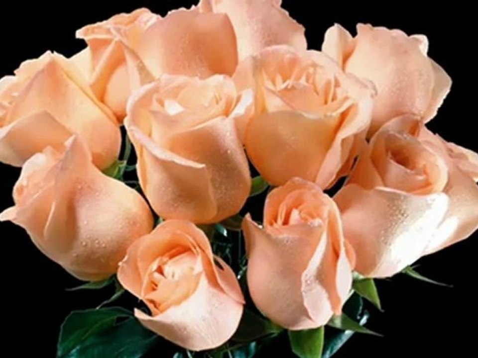 COMO SERA "CHIRINO" {Miros Mar}¸¸.•*¨*• ♪♫