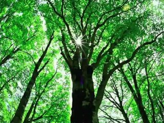 Airi suzuki- My alright sky Sub español