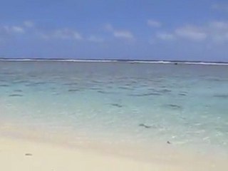 Cook island, un petit coin de paradis