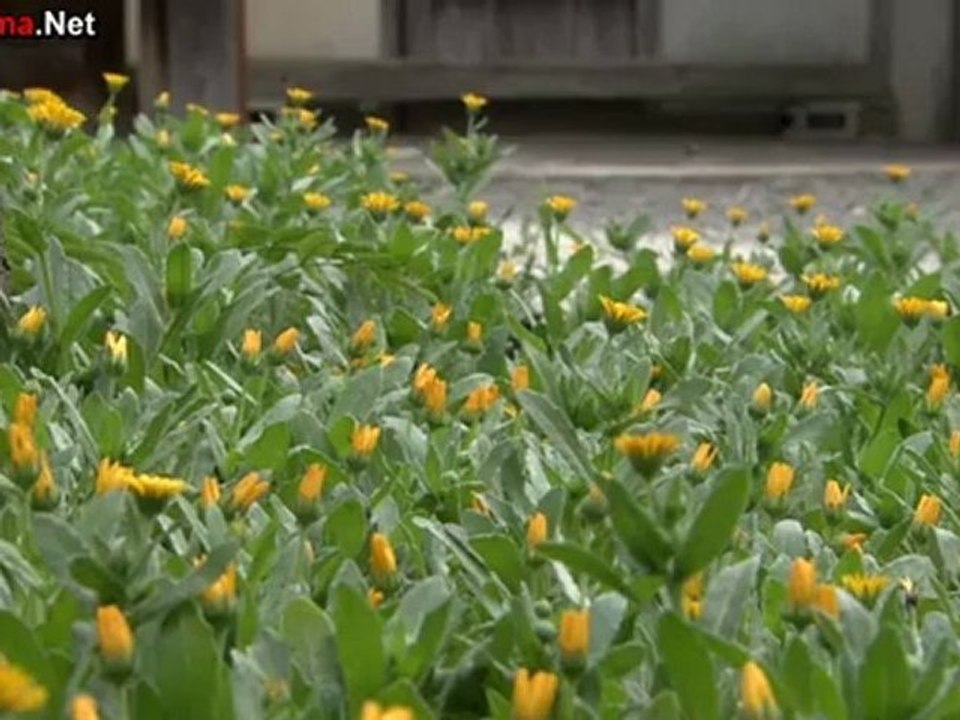 FAKE Kyoto Bijutsu Jiken Emaki - 02