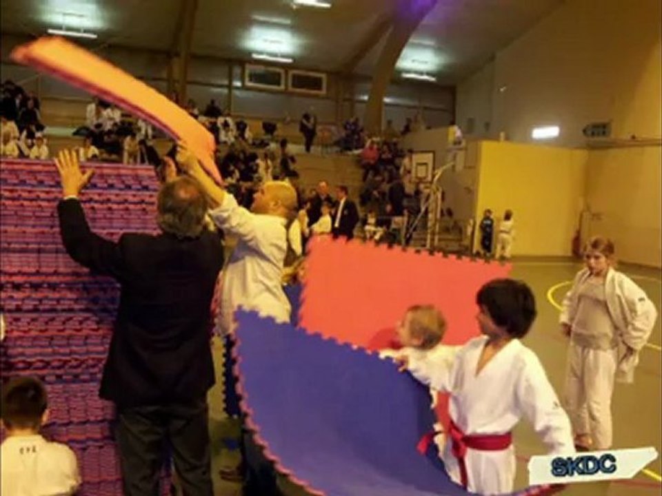 Coupe de france 2012