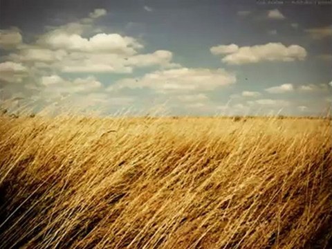 Fields of Gold Sting Eva Cassidy cover