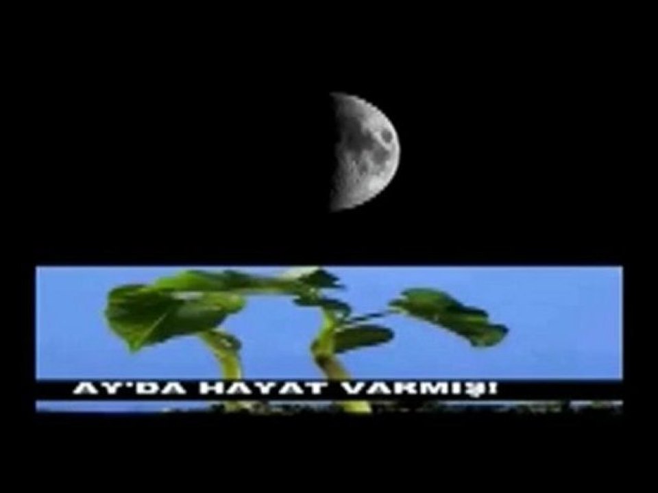 JENERİK-AYIN KARANLIK YÜZÜ