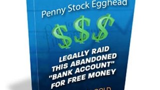 The Penny Stock Egg Head Review + Bonus
