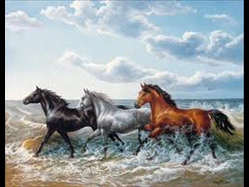 Admirant la Mer
