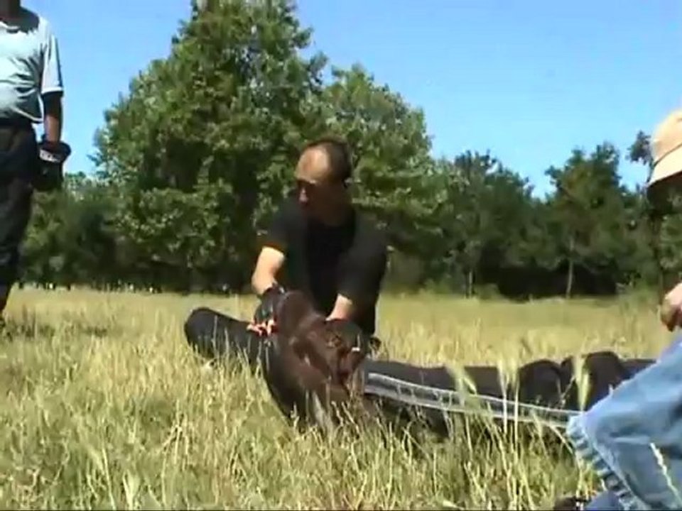 Rencontre martiale dimanche 18  juillet 2010 party 2