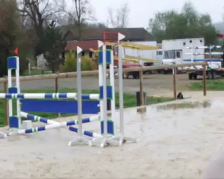 Jument AA 4 ans parcours d'obstacle