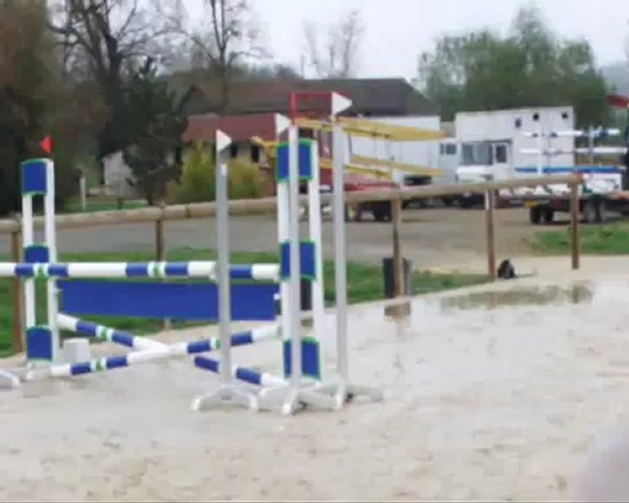 Jument AA 4 ans parcours d'obstacle