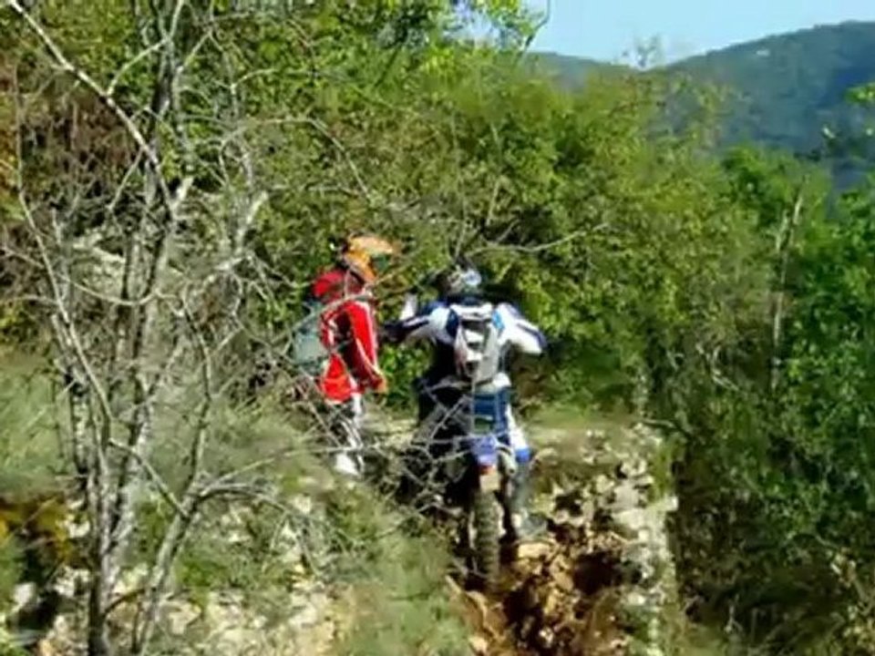 enduro divers
