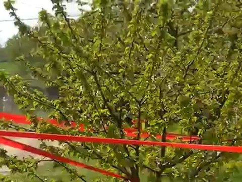 rallye lyon charbonnieres 2012 ES1 bessenay petite faute d'une 206 WRC