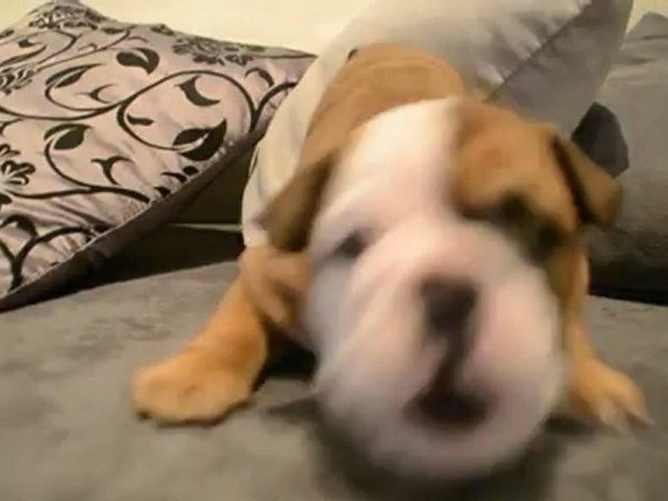 June 5 semaies, je t'engueule !