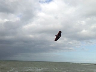 weasel evo black edition le 15/04/2012 vent fort