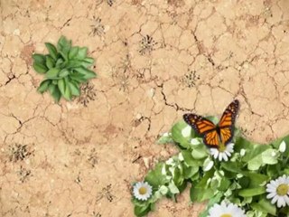 Plans For Building A Shed