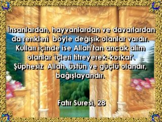 RENK RENK KURBAĞALAR (: